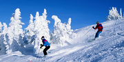 Shimla Tour Packages