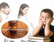 Expert Detective for Divorce Case Investigation