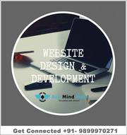 Web Development Company in Delhi (+91-8595356149)