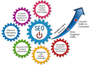 SEO Agency in Delhi