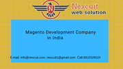 magento Development Company in Delhi