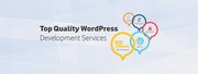 Wordpress development services in Faridabad,  Delhi,  Gurgaon,  India