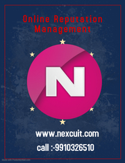 online reputation management services in delhi