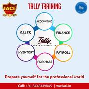 Get Ready for Professional Job! with Tally Training in Delhi