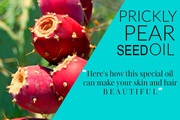 Organic Prickly Pear Seed Oil 