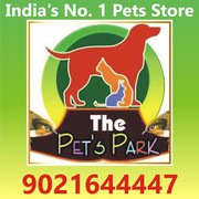 THE PETS PARK - TOP QUALITY BREED 