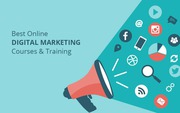 Best Digital Marketing Course in Delhi | Learn Digital Marketing in De