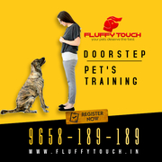 We offers Pet Grooming and Pet Training Services at Home in Delhi-NCR