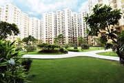 Apartments in Noida Extension