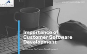 Importance of Customer Software Development.