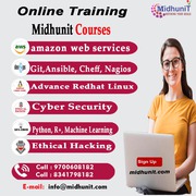 Best IT & Software Training Institute - Best Online Training Institute