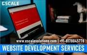 Custom Web Development Services in Delhi