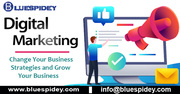 Grow Your Business with Blue Spidey |Web Developer | SEO |PPC