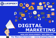 Blue Spidey | Digital Marketing Agency,  SEO Services,  PPC Company,  Web