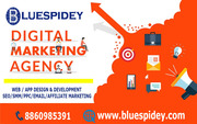 Top Digital Marketing Agency in Delhi NCR | Blue Spidey