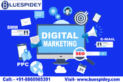 Best Digital Marketing Agency in Delhi NCR
