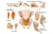 Buy Chicken Parts Online