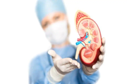 Looking for the Kidney Specialist in Delhi