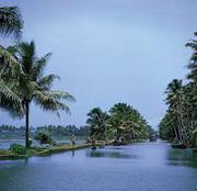 Backwaters,  Beaches & Hills of Kerala