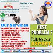 Pest Control Services