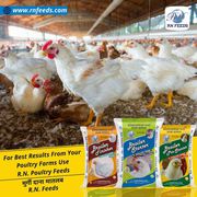 Best poultry feed manufacturing plant / mill cost