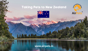 Taking Pets to New Zealand