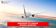 Immigrate to Canada within 6 months!