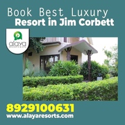 Book Best Luxury Resort in Jim Corbett
