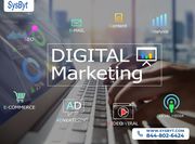 Take Your Digital Marketing to the Next Level with Sysbyt 