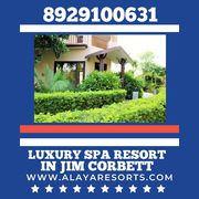 Luxury Spa Resort in Jim Corbett