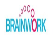 SMO Company in Delhi | Brainwork