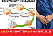 treatment of chlamydia in females