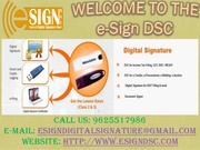 Digital Signature Certificate Providers in Delhi,  India | ESIGNDSC