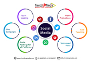 Best Social Media Marketing Agency in South Delhi | Trendzup
