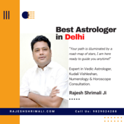 BEST ASTROLOGER IN DELHI | RAJESH SHRIMALI JI | 9829024288