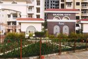 3 BHK Flats for Rent in Amrapali Silicon City,  Sector 76