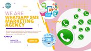 Bulk SMS Service In Delhi