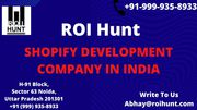 ROI Hunt  Ecommerce Advertising Company in India