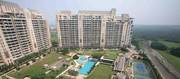 Rent DLF Aralias Apartment in Gurgaon (Gurugram)