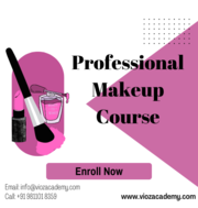 Professional Makeup Courses in Delhi - ViozAcademy