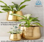 Decorative Planter Exporters in Noida & Moradabad at Affordable Cost