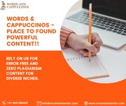 Professional Content Writing Services In Delhi