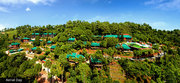 New Year Celebrations in Kasauli | New Year Packages Near Delhi