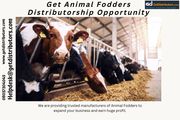 Animal Fodders Distributors | Animal Fodder Dealers