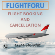 Flight ticket Booking and Cancellation