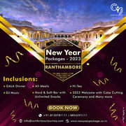 New Year Packages 2023 | New Year Packages in Ranthambore