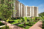 Apartment for Sale in Central Park 1 Gurgaon