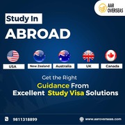 Study Overseas Education Consultants in Delhi