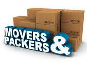 Domestic Shifting By New Super India Packers Movers