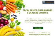 Fresh Fruits Distributors & Dealers Wanted | Fresh Fruits Suppliers in
